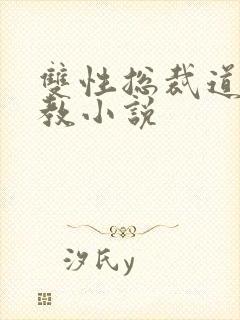 双性总裁道具调教小说封面