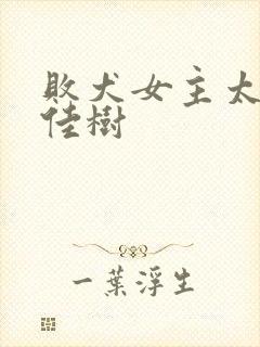 败犬女主太多了佳树