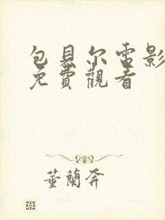 包贝尔电影打黑免费观看