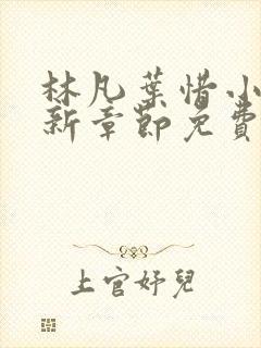 林凡叶惜小说最新章节免费阅读封面