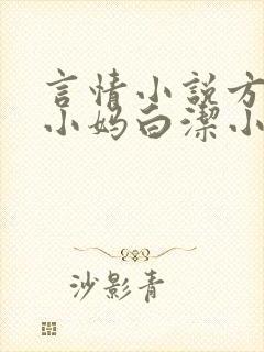 言情小说方哲和小妈白洁小说封面