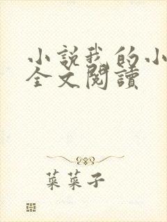 小说我的小后妈全文阅读