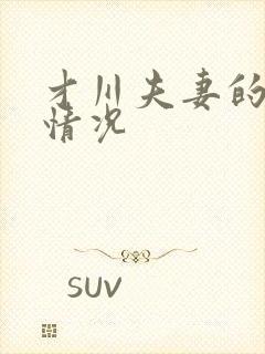 才川夫妻的恋爱情况封面