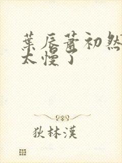 叶辰萧初然更新太慢了