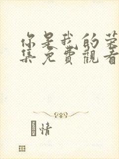 你是我的荣耀全集免费观看高清