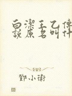 白洁王乙传说小说原名叫什么