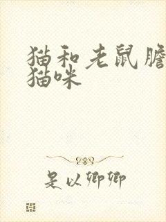 猫和老鼠胆小的猫咪