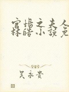 官场之夫人路线林皓小说免费阅读