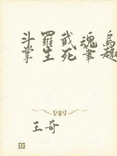 斗罗武魂乌鸦执掌生死笔趣阁