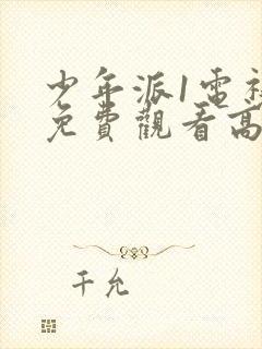 少年派1电视剧免费观看高清在线封面