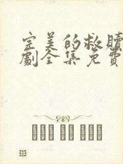 完美的救赎电视剧全集免费观看完整版