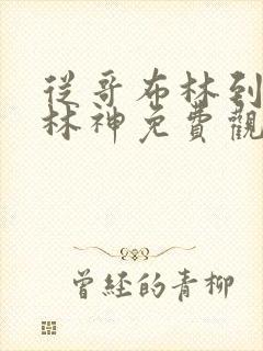 从哥布林到哥布林神免费观看