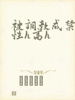 被调教成禁脔双性h高h封面