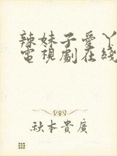 辣妹子爱丫爱丫电视剧在线观看外国