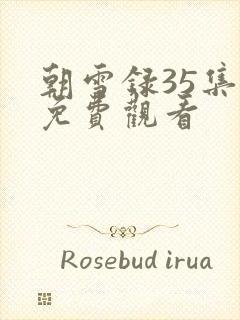 朝雪录35集全免费观看