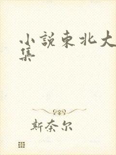 小说东北大炕全集