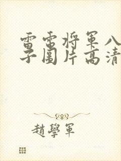 雷电将军八重神子图片高清壁纸