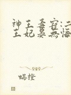 神王毒宠:二嫁王妃晏无悔凤九霄