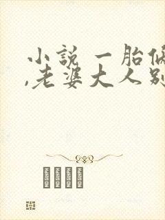 小说 一胎俩宝,老婆大人别想逃