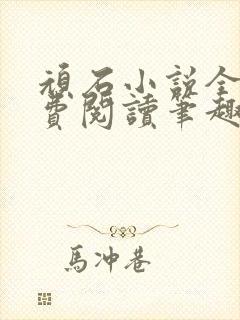 顽石小说全文免费阅读笔趣阁