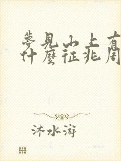 梦见山上有雪是什么征兆周公解梦