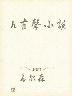 h有声小说