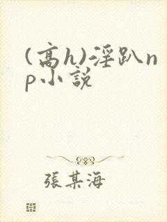 (高h)淫趴np小说