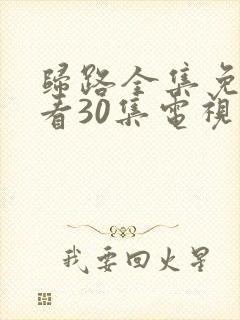 归路全集免费观看30集电视剧