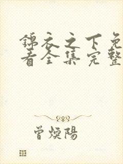 锦衣之下免费观看全集完整版在线观看