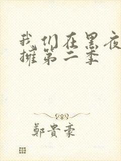 我们在黑夜中相拥第二季