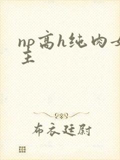 np高h纯肉女主