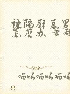 被隔壁直男看上怎么办 笔趣阁封面