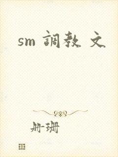 sm 调教 文