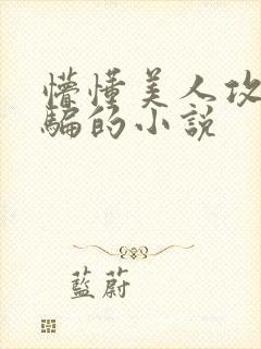 懵懂美人攻被哄骗的小说封面