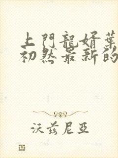 上门龙婿叶辰萧初然最新的封面