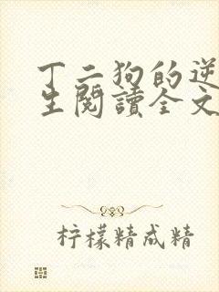 丁二狗的逆袭人生阅读全文全文