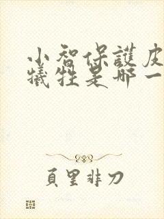 小智保护皮卡丘牺牲是哪一集