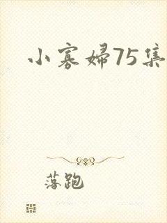 小寡妇75集封面