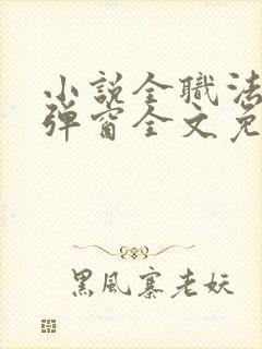 小说全职法师无弹窗全文免费阅读