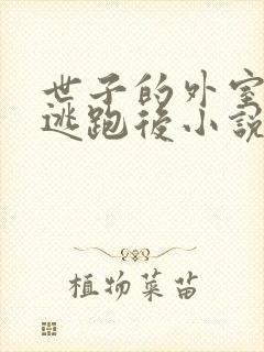 世子的外室美人逃跑后小说封面