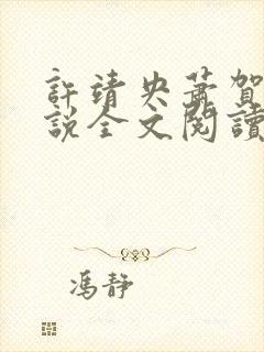 许靖央萧贺夜小说全文阅读最新章节封面