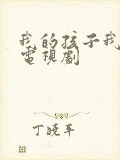 我的孩子我的家电视剧封面