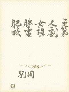 肥胖女人免费播放电视剧第12集