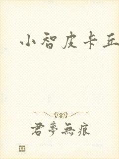 小智皮卡丘封面