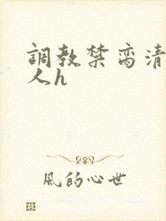 调教禁脔清冷美人h