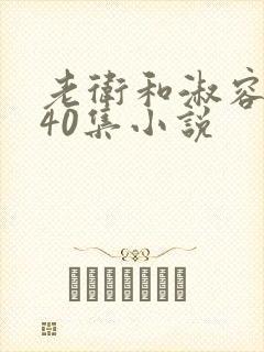 老卫和淑容1-40集小说