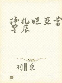 挣扎吧亚当军君星辰封面