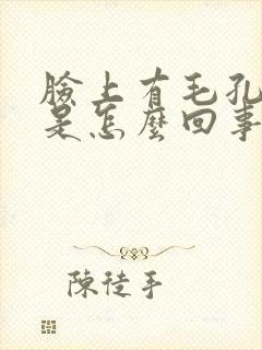 脸上有毛孔粗大是怎么回事封面