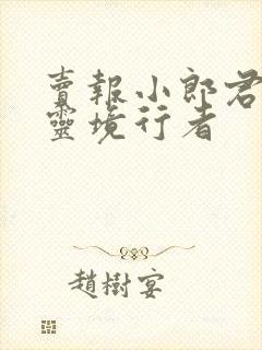 卖报小郎君新书灵境行者