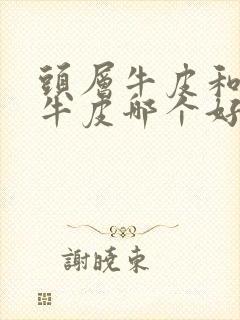 头层牛皮和真皮牛皮哪个好